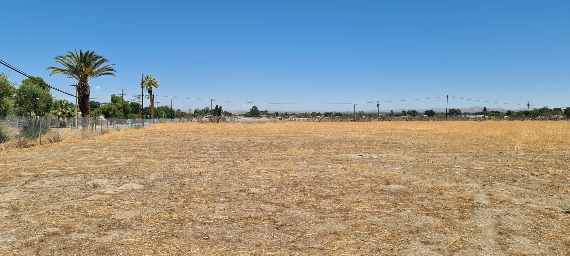 Littlerock Yard, CA — photo 2 of 3
